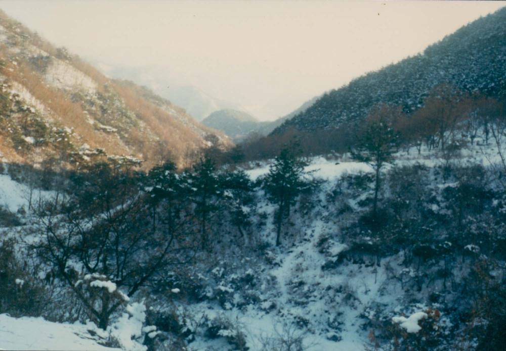 1970년대부터 1990년대까지 김명희, 김차섭 인화사진