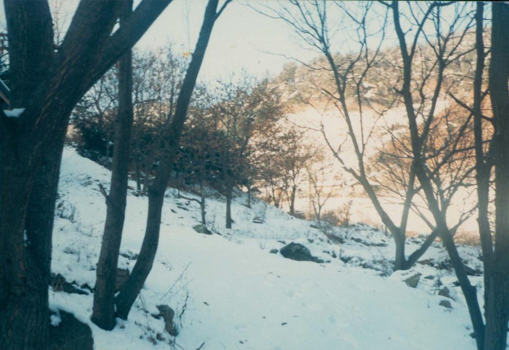 1970년대부터 1990년대까지 김명희, 김차섭 인화사진
