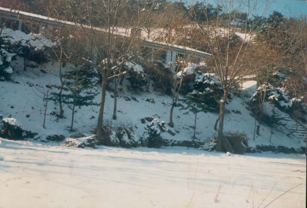 1970년대부터 1990년대까지 김명희, 김차섭 인화사진