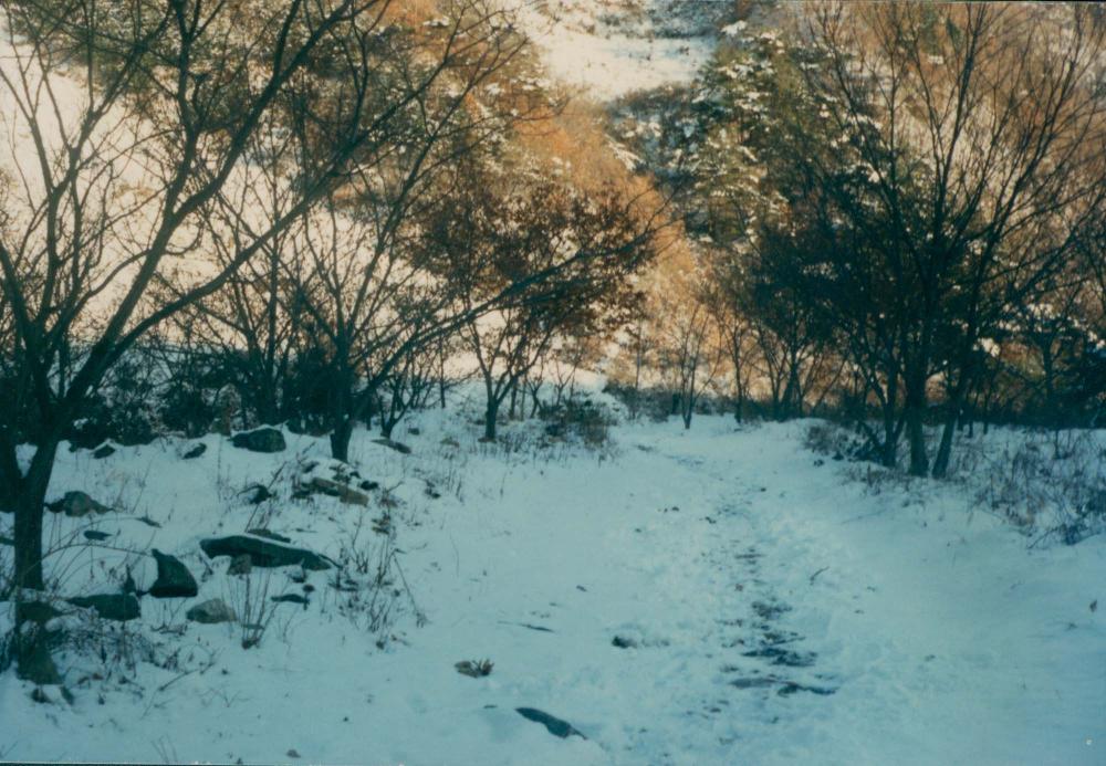 1970년대부터 1990년대까지 김명희, 김차섭 인화사진
