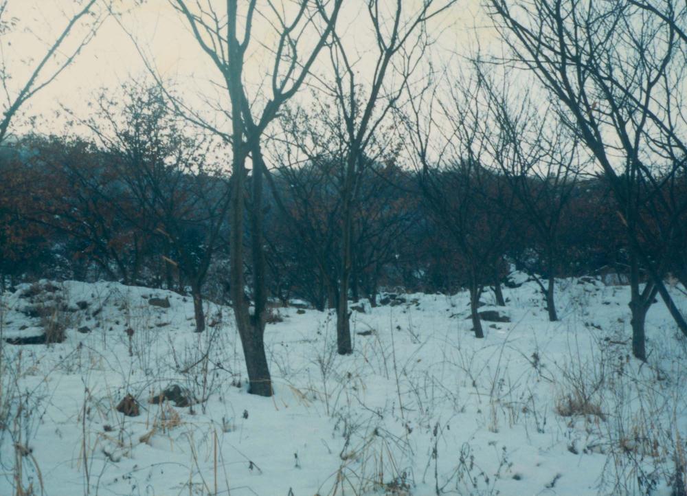 1970년대부터 1990년대까지 김명희, 김차섭 인화사진