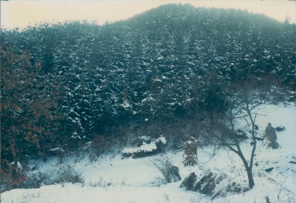 1970년대부터 1990년대까지 김명희, 김차섭 인화사진