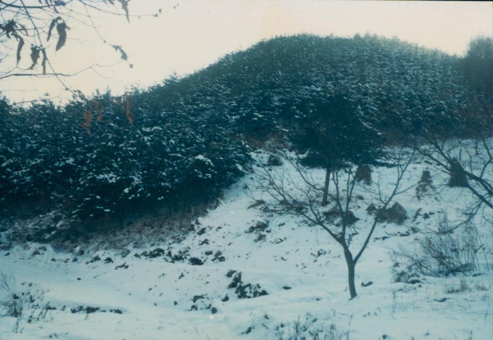 1970년대부터 1990년대까지 김명희, 김차섭 인화사진