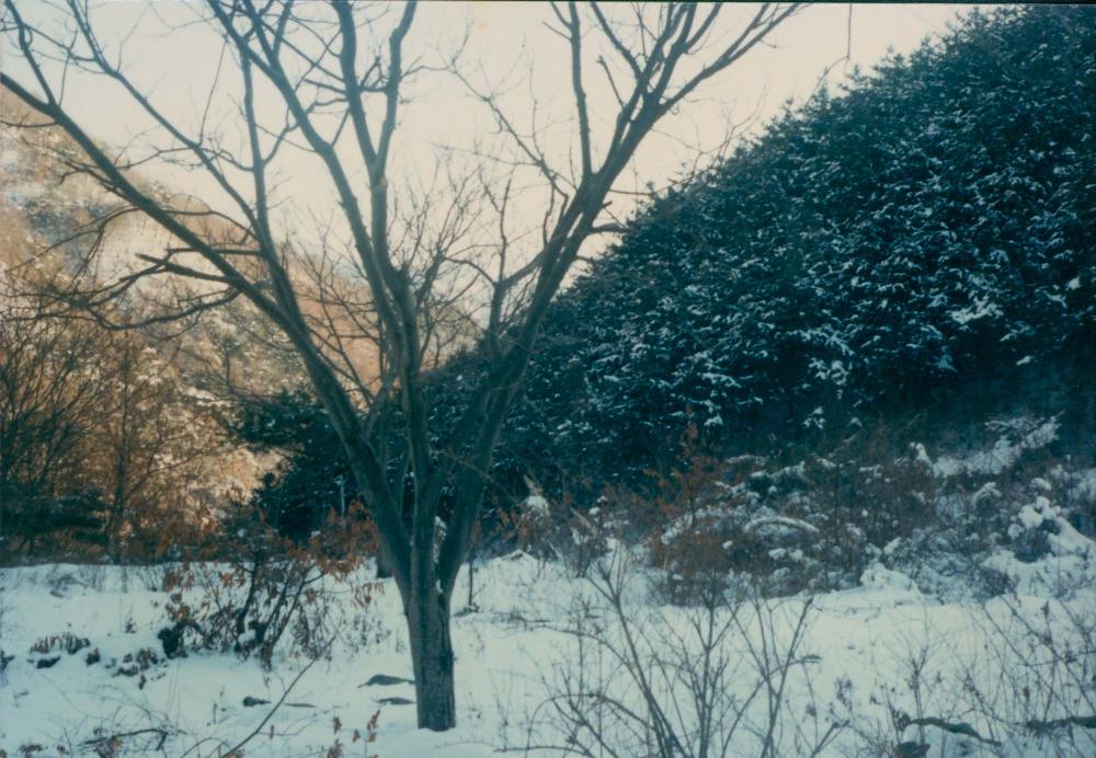 1970년대부터 1990년대까지 김명희, 김차섭 인화사진