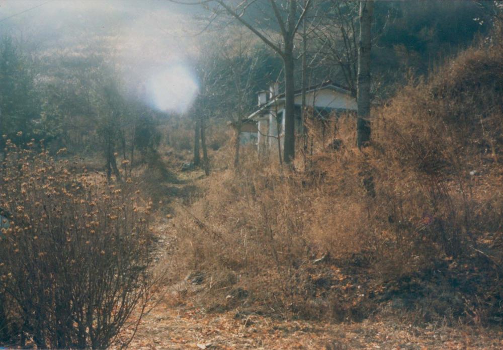 1970년대부터 1990년대까지 김명희, 김차섭 인화사진