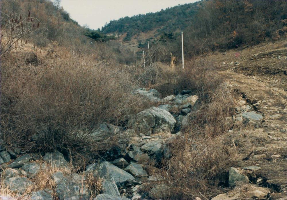 1970년대부터 1990년대까지 김명희, 김차섭 인화사진