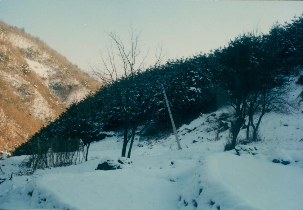 1970년대부터 1990년대까지 김명희, 김차섭 인화사진
