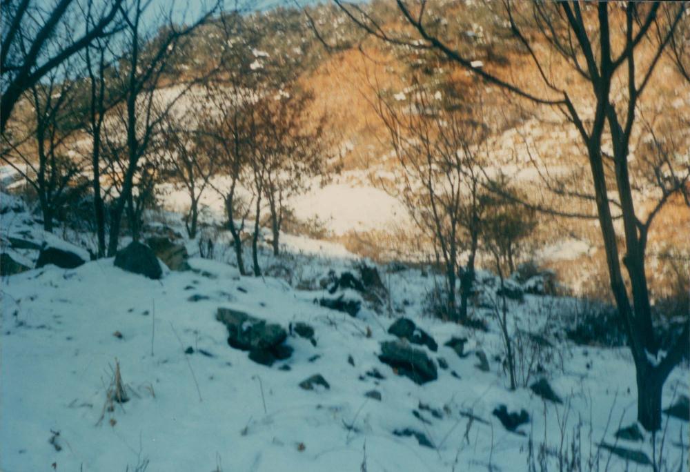 1970년대부터 1990년대까지 김명희, 김차섭 인화사진