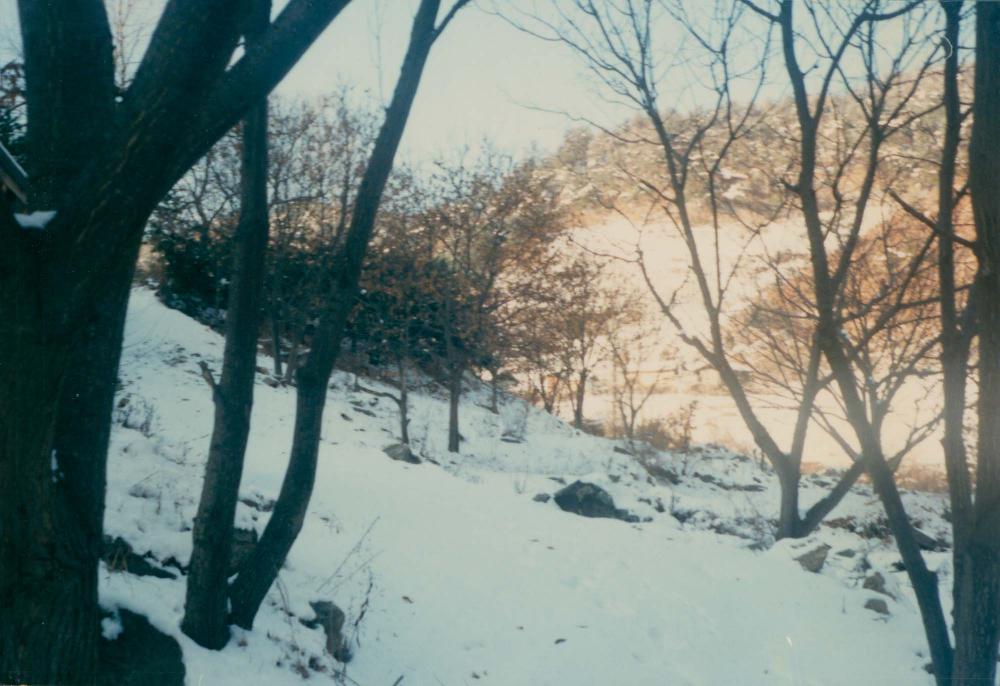 1970년대부터 1990년대까지 김명희, 김차섭 인화사진