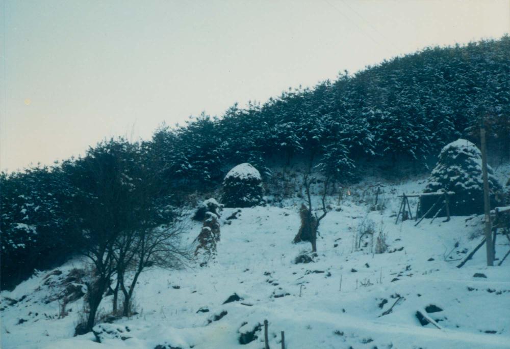 1970년대부터 1990년대까지 김명희, 김차섭 인화사진