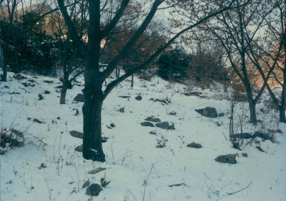 1970년대부터 1990년대까지 김명희, 김차섭 인화사진