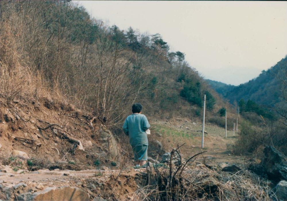 1970년대부터 1990년대까지 김명희, 김차섭 인화사진