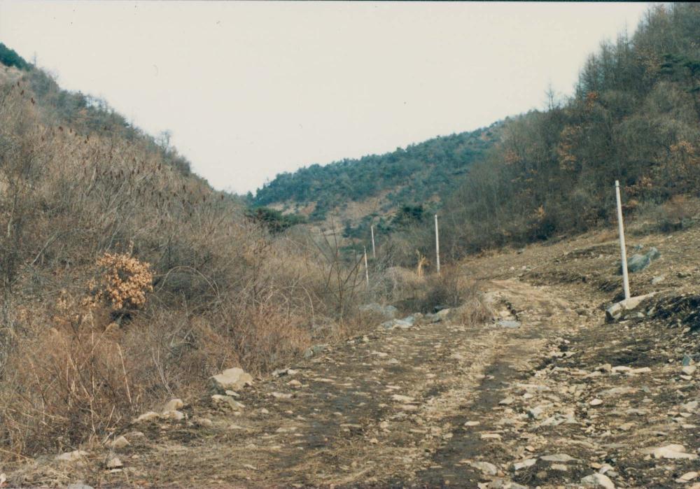 1970년대부터 1990년대까지 김명희, 김차섭 인화사진