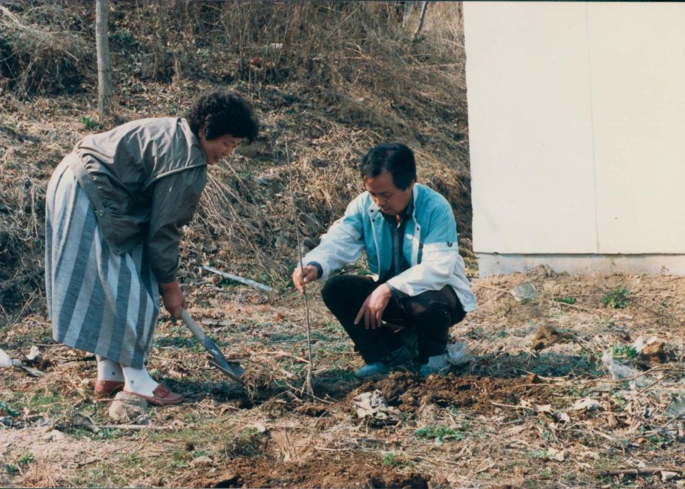 1970년대부터 1990년대까지 김명희, 김차섭 인화사진