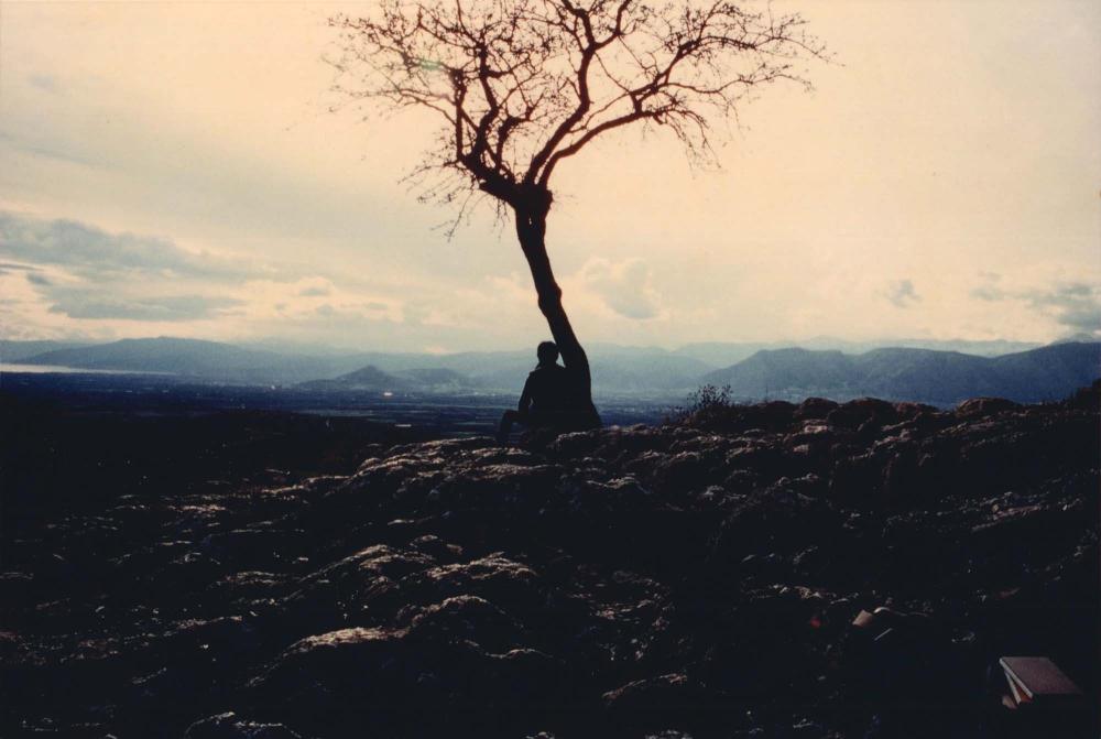 김차섭의 뒷모습 사진 1