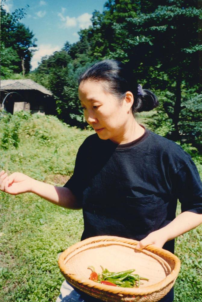 밭에서 고추를 따는 김명희를 촬영한 인화사진 1