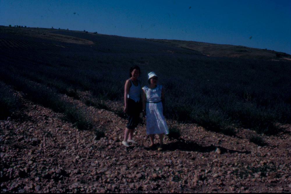 김향안과 여행에서 촬영한 김명희, 김차섭의 인화사진 2 8