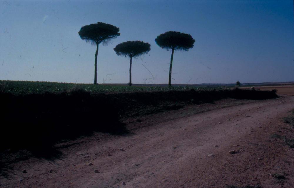 김향안과 여행에서 촬영한 김명희, 김차섭의 인화사진 2