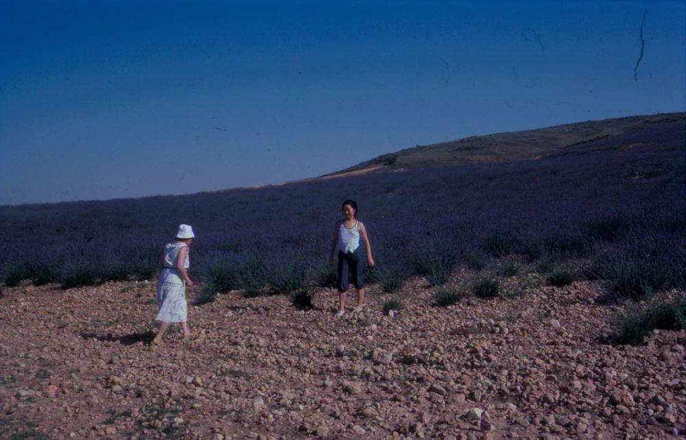 김향안과 여행에서 촬영한 김명희, 김차섭의 인화사진 2