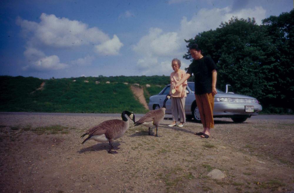 김향안과 여행에서 촬영한 김명희, 김차섭의 인화사진 2