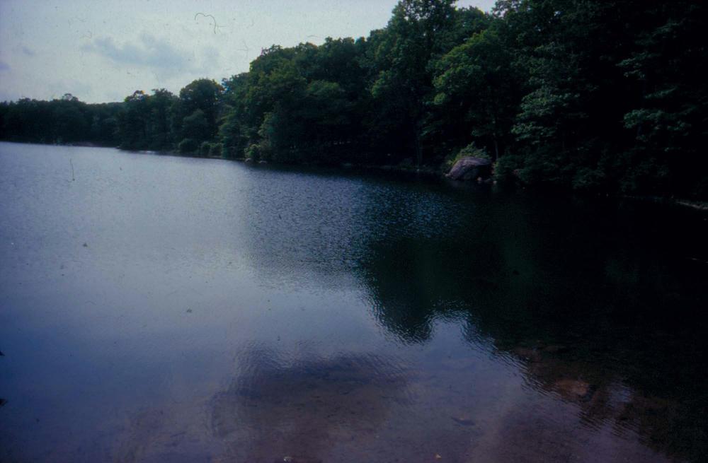 김향안과 여행에서 촬영한 김명희, 김차섭의 인화사진 2