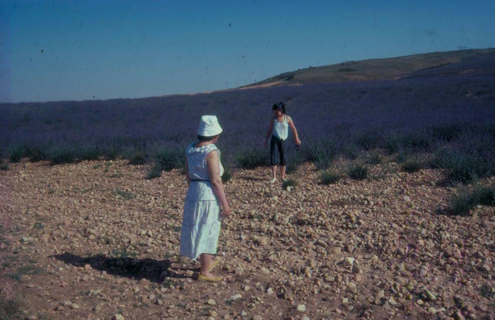 김향안과 여행에서 촬영한 김명희, 김차섭의 인화사진 2