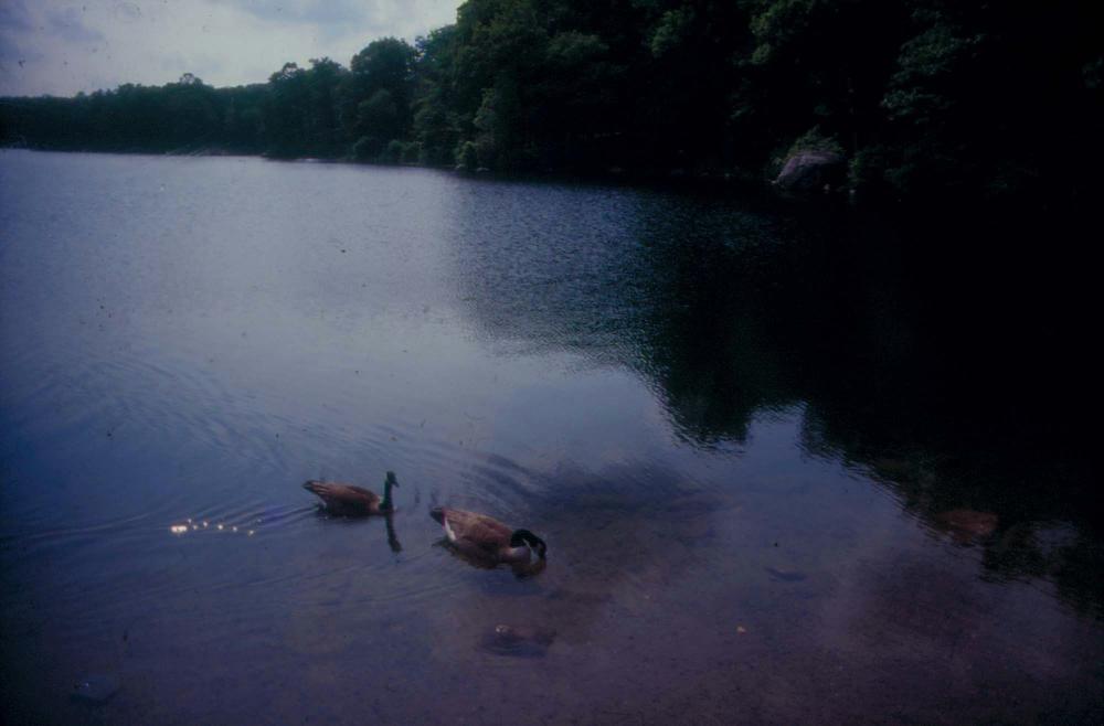 김향안과 여행에서 촬영한 김명희, 김차섭의 인화사진 2