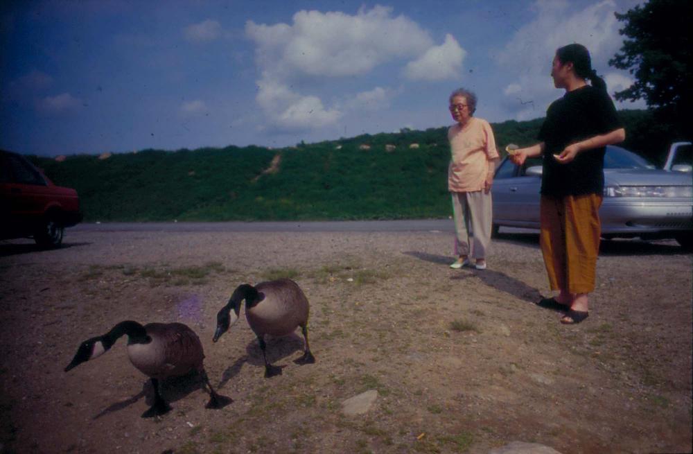 김향안과 여행에서 촬영한 김명희, 김차섭의 인화사진 2
