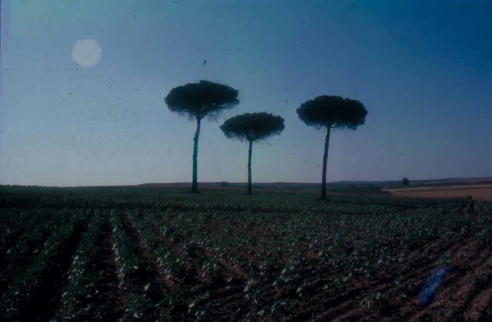 김향안과 여행에서 촬영한 김명희, 김차섭의 인화사진 2