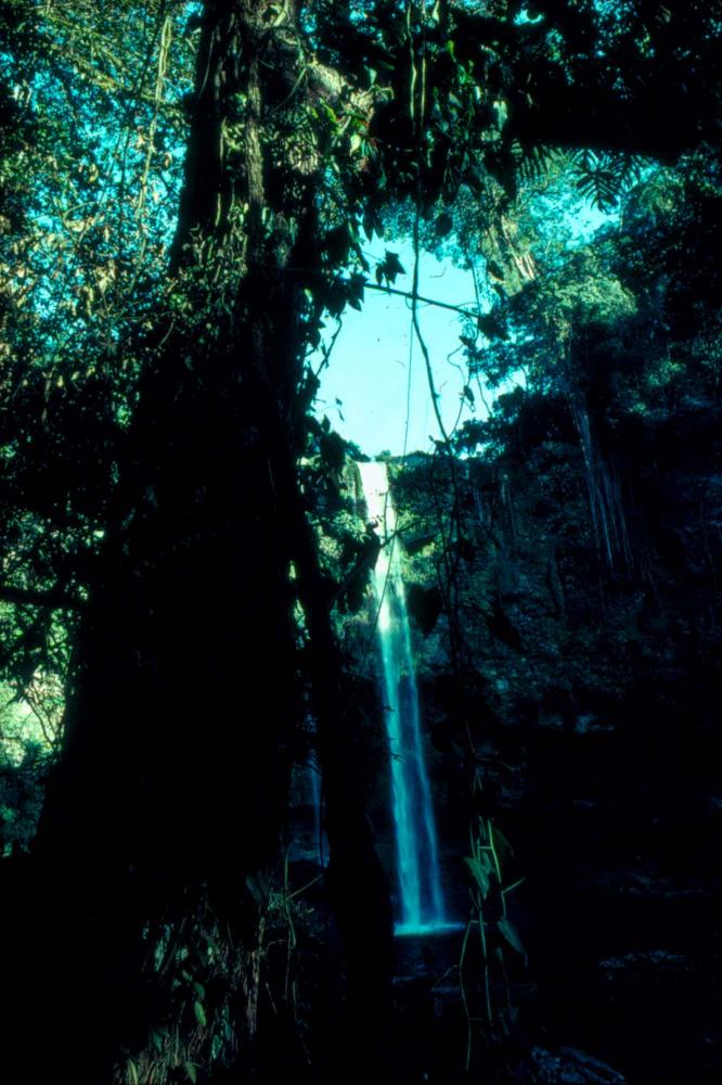 1983년부터 1987년까지 멕시코 여행 슬라이드 필름