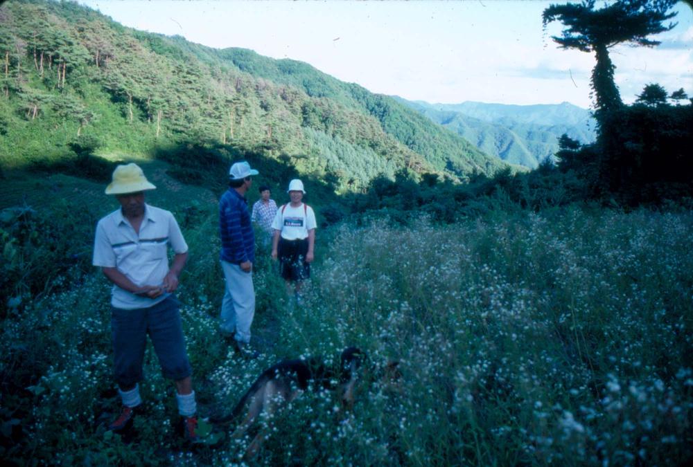 1989년 내평 소호 화실 연행 등 슬라이드 필름 앨범