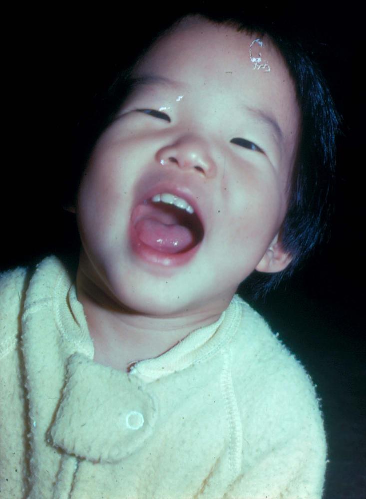 1976년부터 2002년까지 내평리, 뉴욕 작업실 슬라이드 필름 앨범