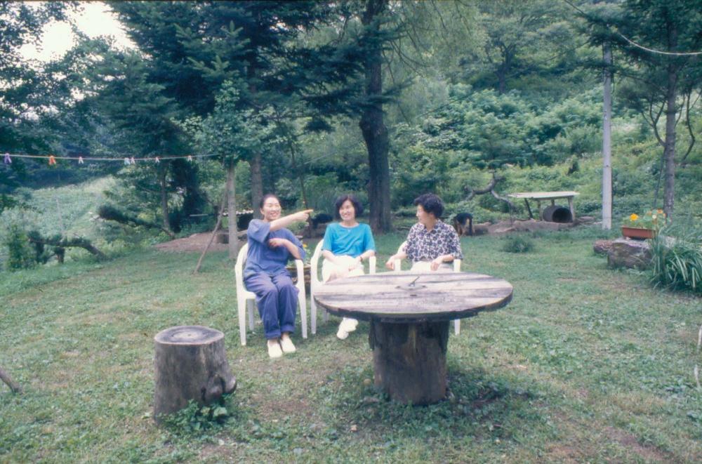 1976년부터 2002년까지 내평리, 뉴욕 작업실 슬라이드 필름 앨범
