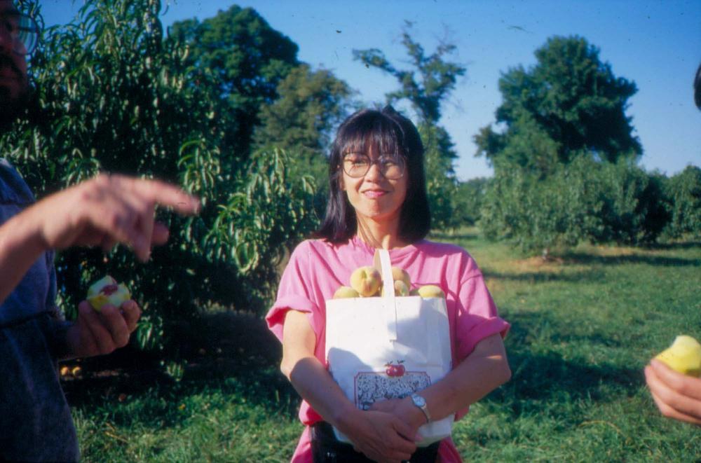 1976년부터 2002년까지 내평리, 뉴욕 작업실 슬라이드 필름 앨범