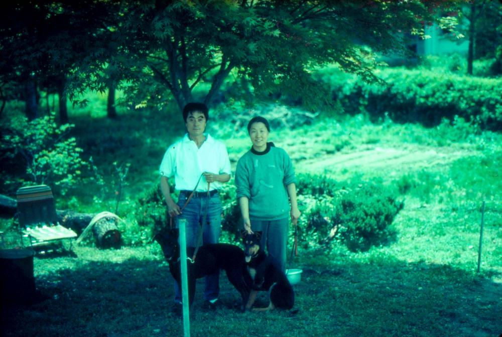 1976년부터 2002년까지 내평리, 뉴욕 작업실 슬라이드 필름 앨범