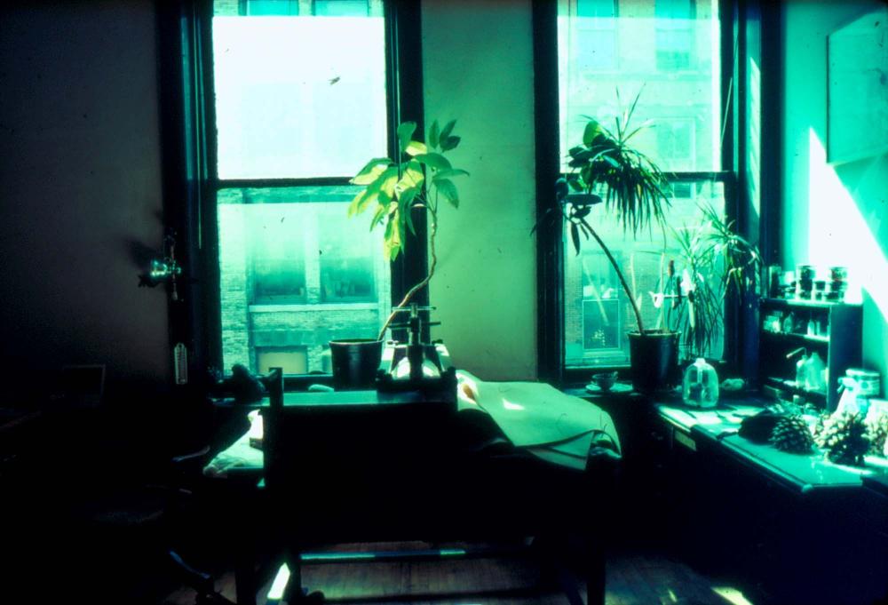 1976년부터 2002년까지 내평리, 뉴욕 작업실 슬라이드 필름 앨범