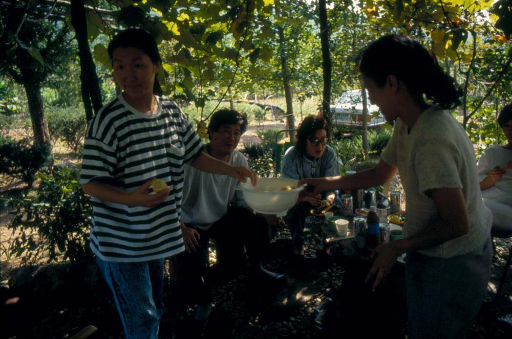 1976년부터 2002년까지 내평리, 뉴욕 작업실 슬라이드 필름 앨범
