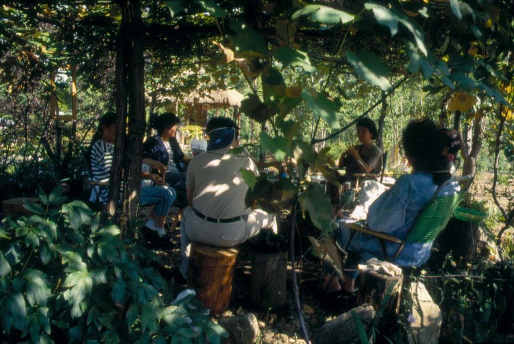 1976년부터 2002년까지 내평리, 뉴욕 작업실 슬라이드 필름 앨범