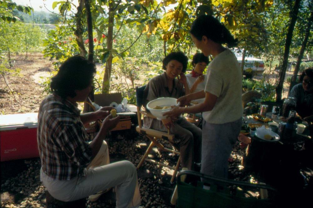 1976년부터 2002년까지 내평리, 뉴욕 작업실 슬라이드 필름 앨범