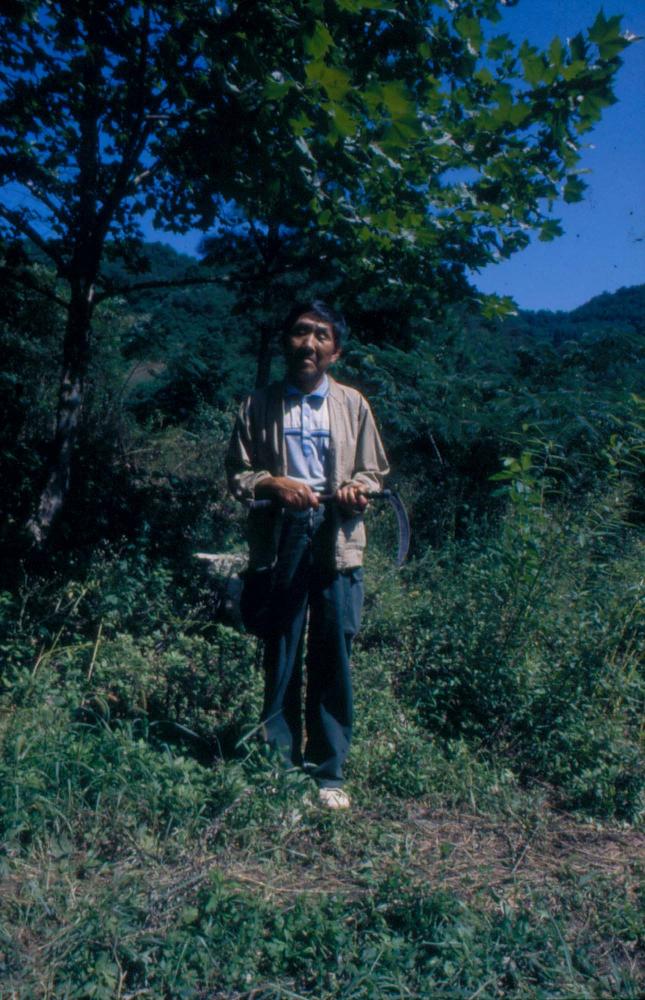 김명희 작품 및 관련 이미지 슬라이드 필름 2