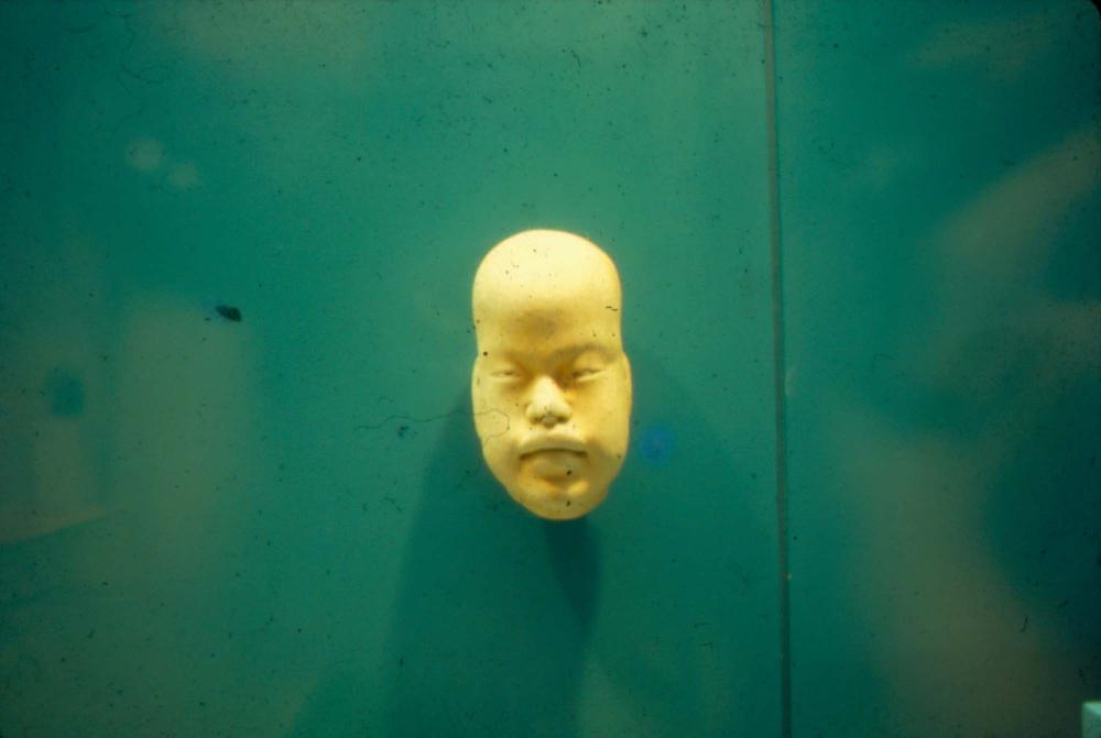 김명희 작품 및 관련 이미지 슬라이드 필름 2