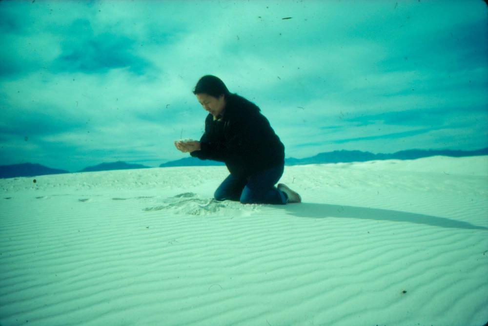 김명희 작품 및 관련 이미지 슬라이드 필름 2