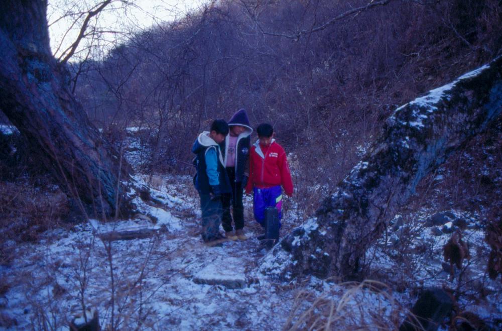 김명희 작품 및 관련 이미지 슬라이드 필름 2