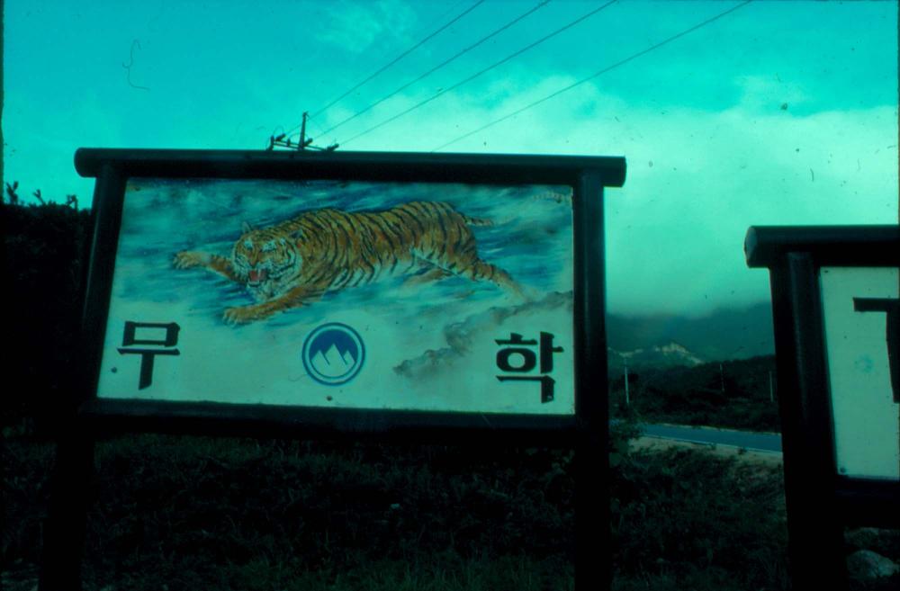 김명희 작품 자료 관련 슬라이드 필름