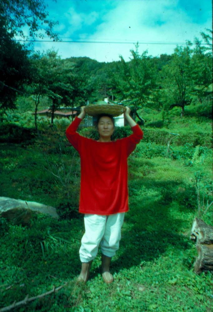 김명희 작품 자료 관련 슬라이드 필름
