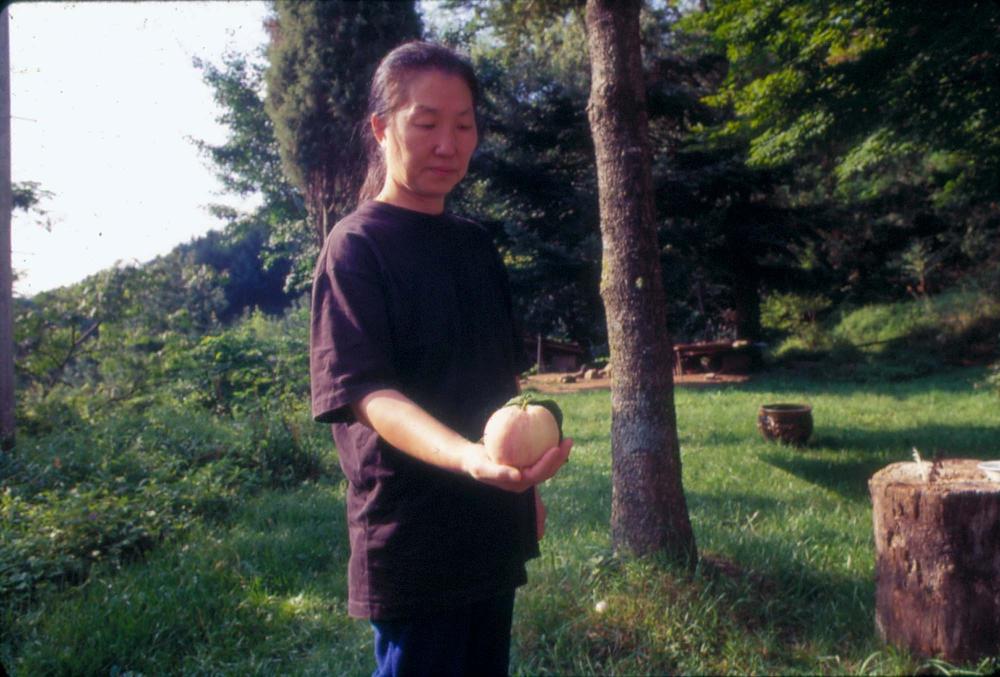 김명희 작품 자료 관련 슬라이드 필름
