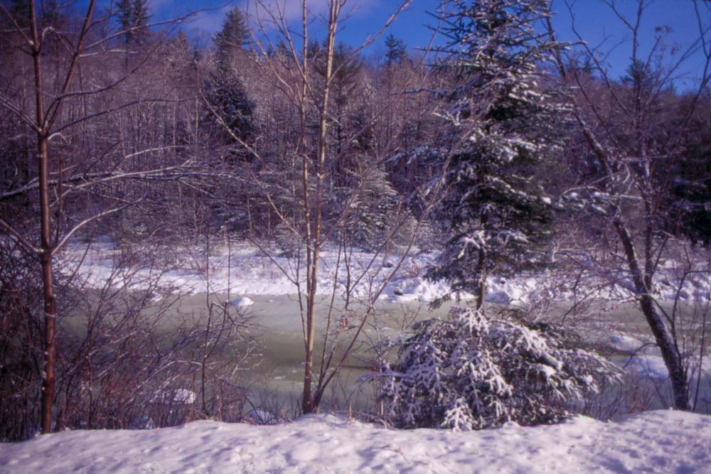 원화랑 전시 및 정찬승 외 지인과 함께 촬영한 슬라이드 필름 7