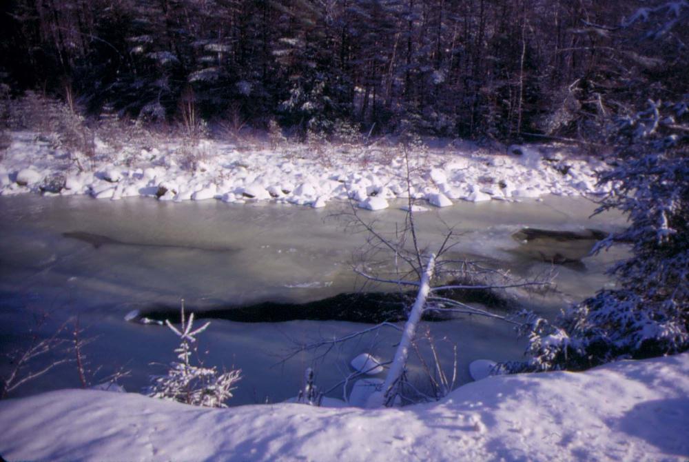 원화랑 전시 및 정찬승 외 지인과 함께 촬영한 슬라이드 필름 8