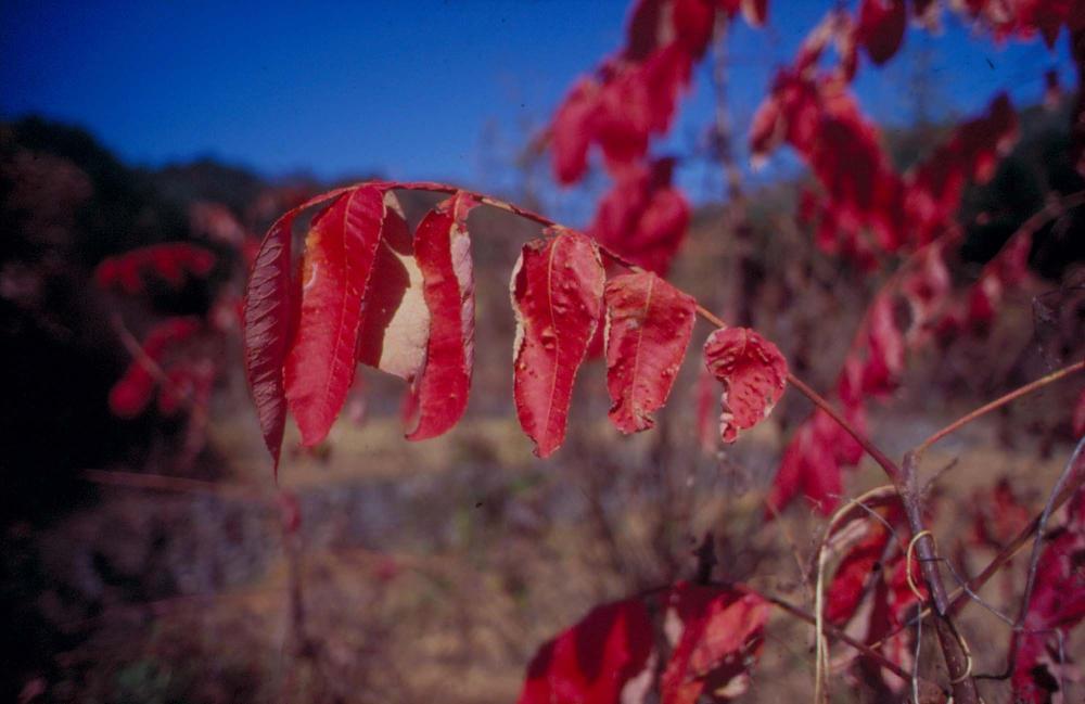 원화랑 전시 및 정찬승 외 지인과 함께 촬영한 슬라이드 필름