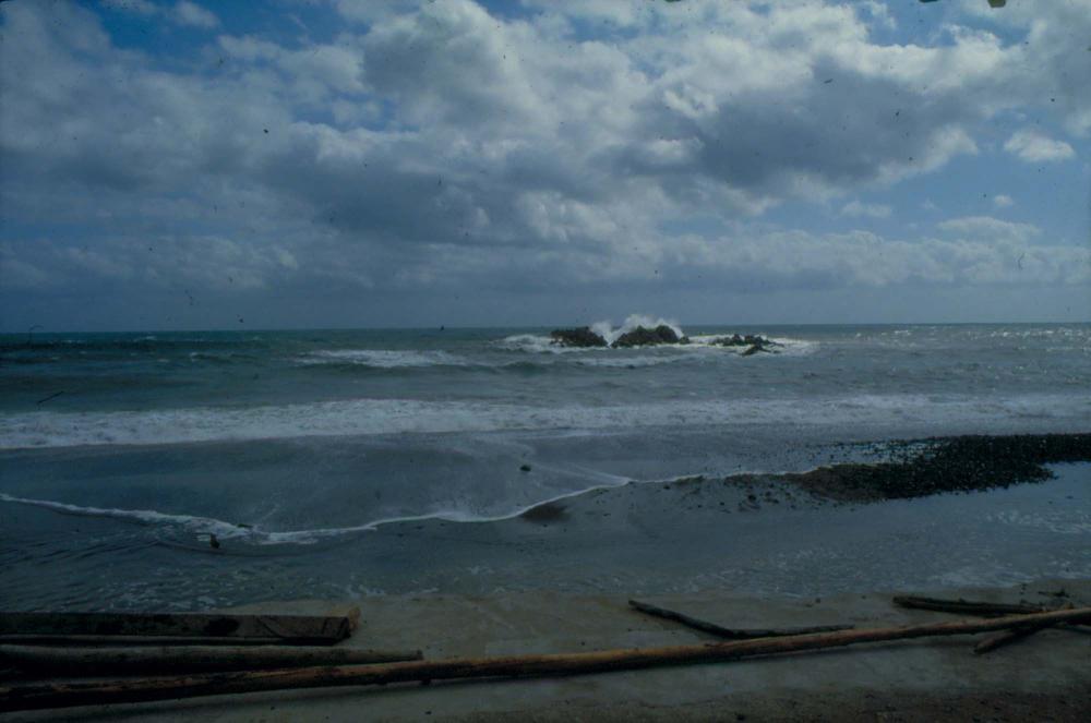 원화랑 전시 및 정찬승 외 지인과 함께 촬영한 슬라이드 필름